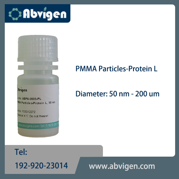 PMMA Particles-Protein L.jpg
