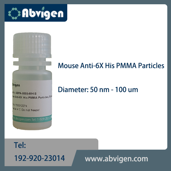 Mouse Anti-6X His PMMA Particles.jpg
