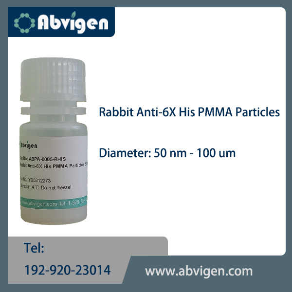 Rabbit Anti-6X His PMMA Particles.jpg