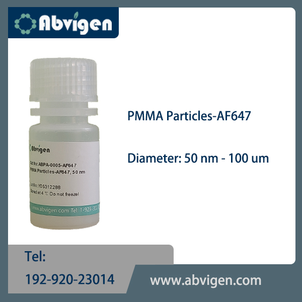 PMMA Particles-AF647.jpg