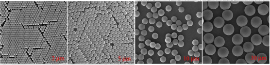 Polymer-Based Reverse Phase Chromatographic Packing.png