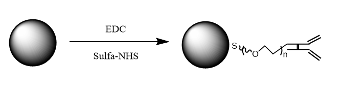 Custom Magnetic Particles Conjugation.png