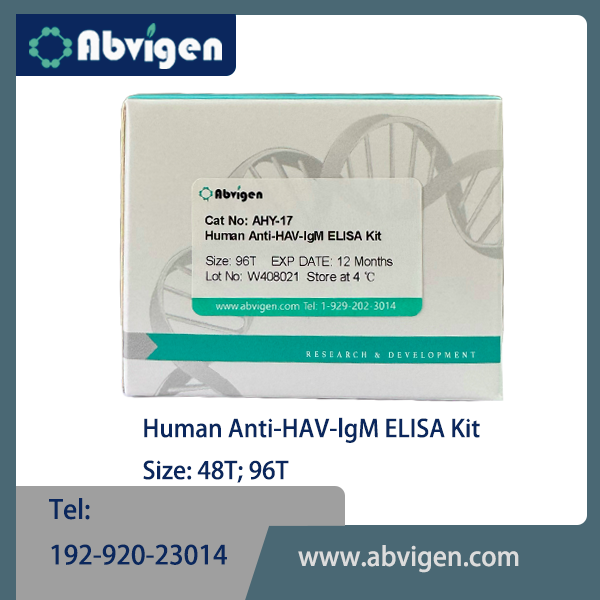 Human Anti-HAV-lgM ELISA Kit 3.png