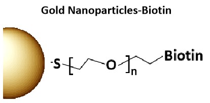 Gold Nanoparticles-Biotin.jpg