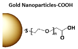 Gold Nanoparticles-COOH.jpg