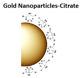 Gold Nanoparticles-Citrate.jpg