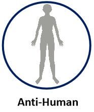 Anti-Human.jpg