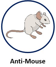 Anti-Mouse.jpg