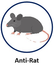 Anti-Rat.jpg