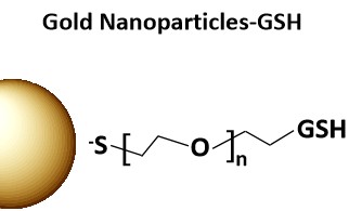 Gold Nanoparticles-GSH.jpg