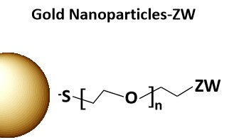 Gold Nanoparticles-ZW.jpg