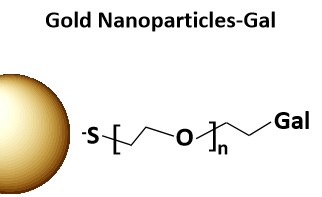 Gold Nanoparticles-Gal.jpg